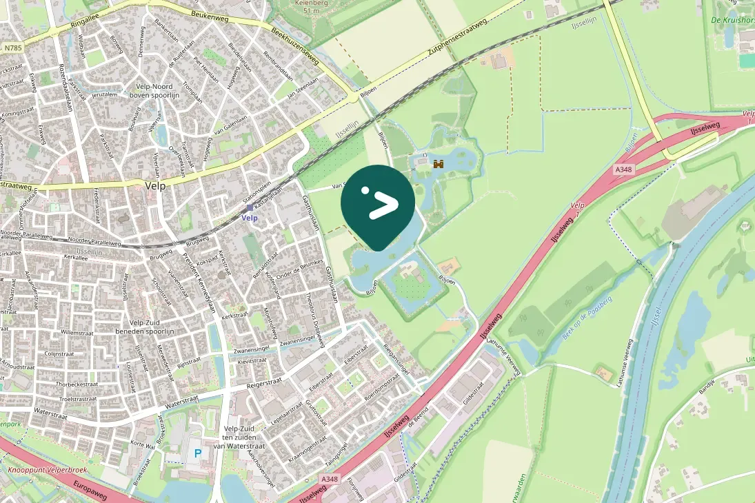 Gespotte Mandarijneend