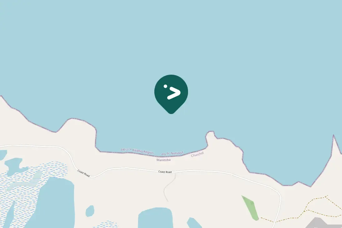 Gespotte Grote zee-eend