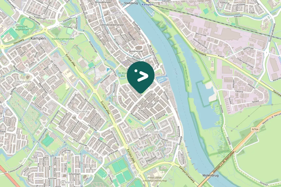 Spotted Egyptian Goose