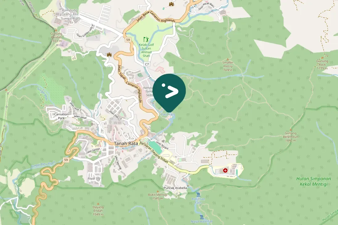 Gespotte Langstaartsnijdervogel