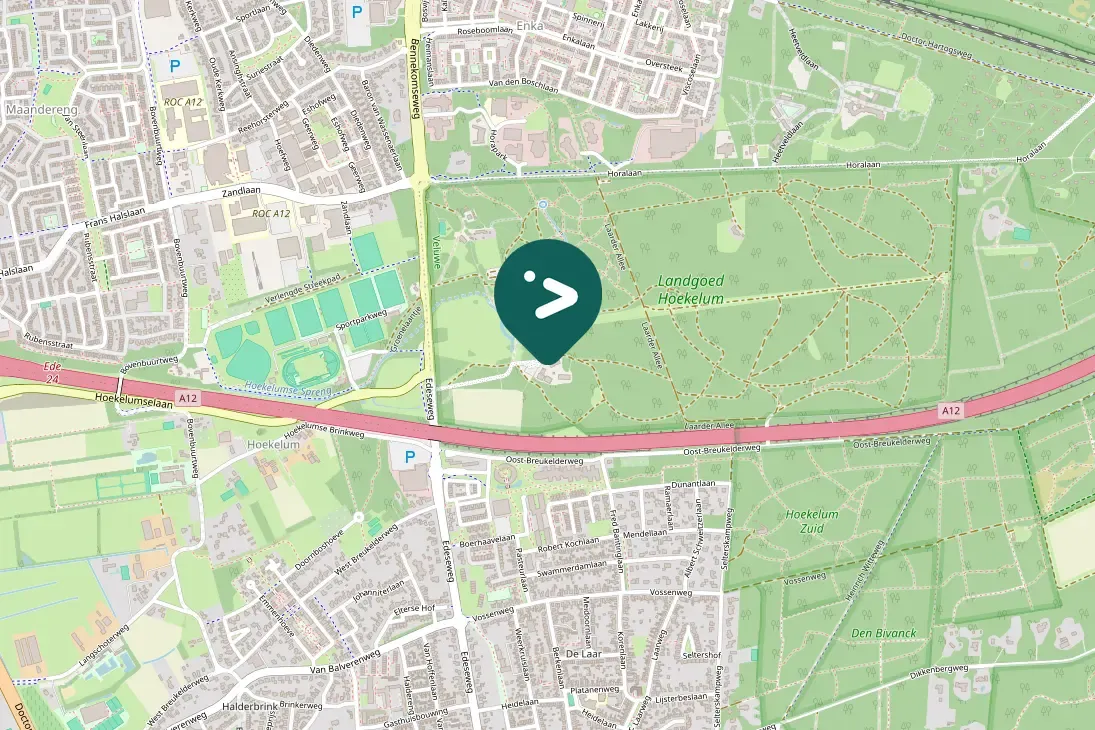 Gespotte Kleine bonte specht