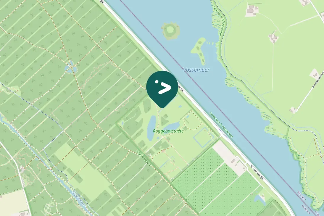 Spotted Ring-necked Pheasant