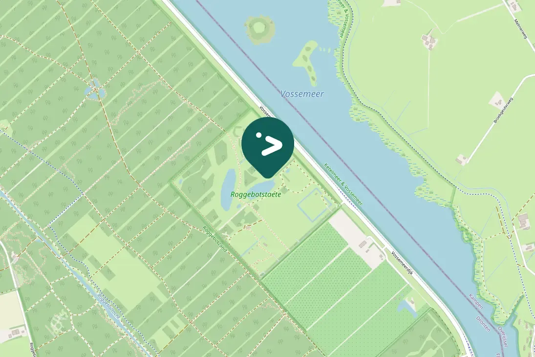 Spotted Ring-necked Pheasant