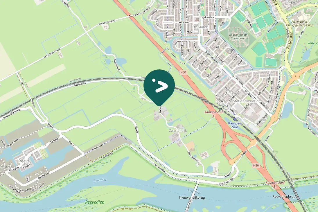 Spotted Barn Swallow