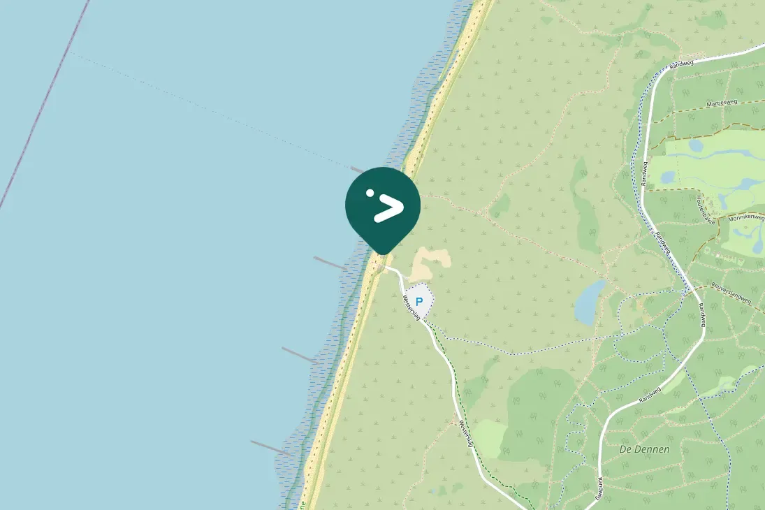 Gespotte Drieteenstrandloper