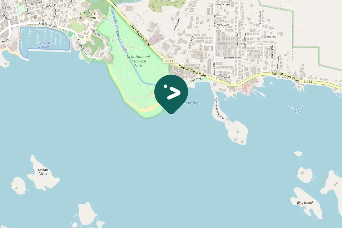 Gespotte IJslandse brilduiker