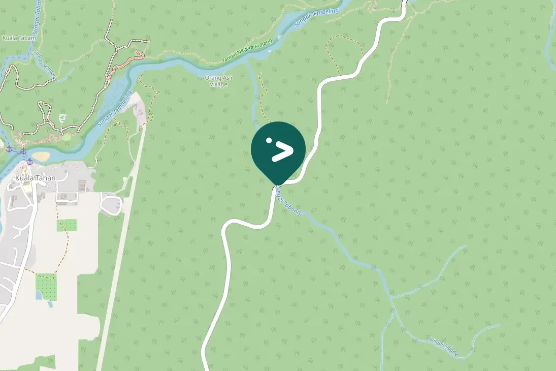 Gespotte Zwartkopwielewaal