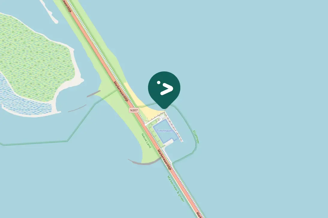 Spotted White Wagtail