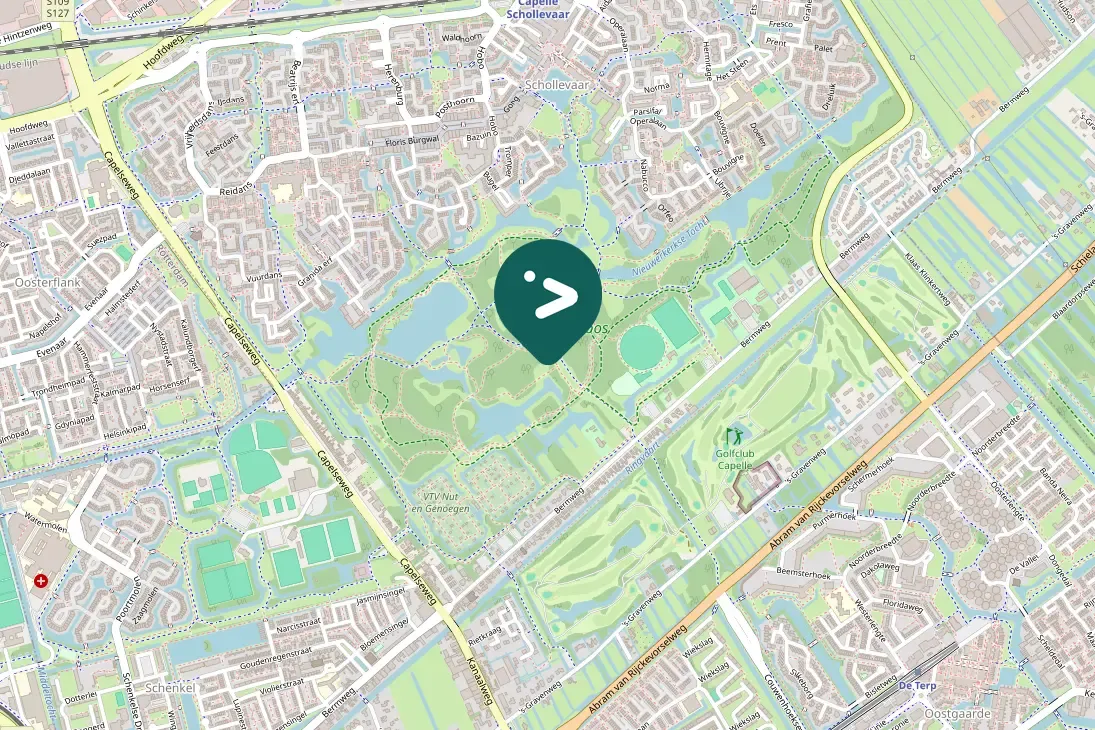 Spotted Eurasian Blackbird