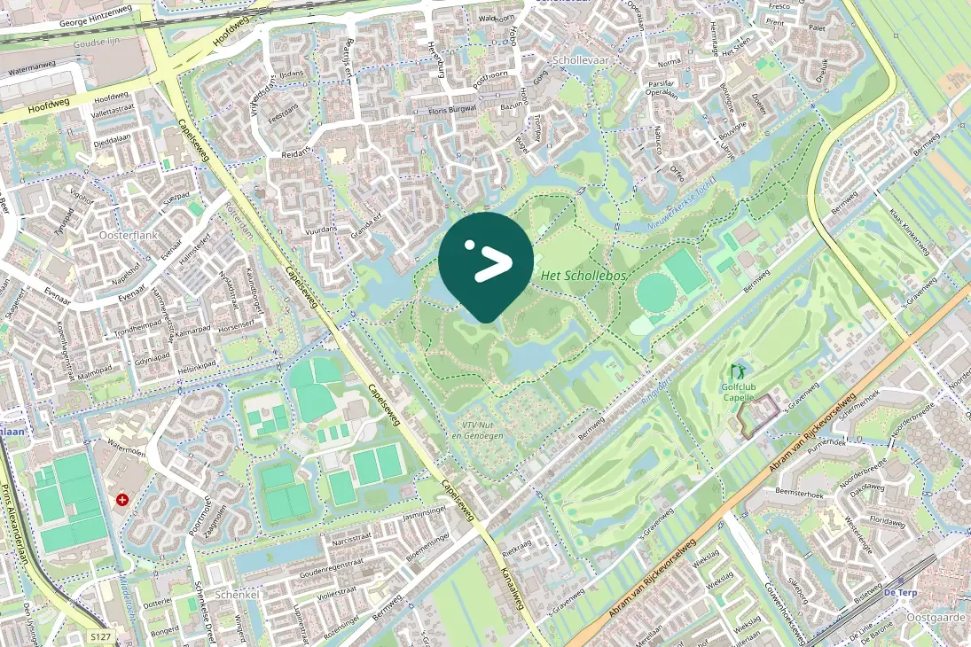 Spotted European Robin