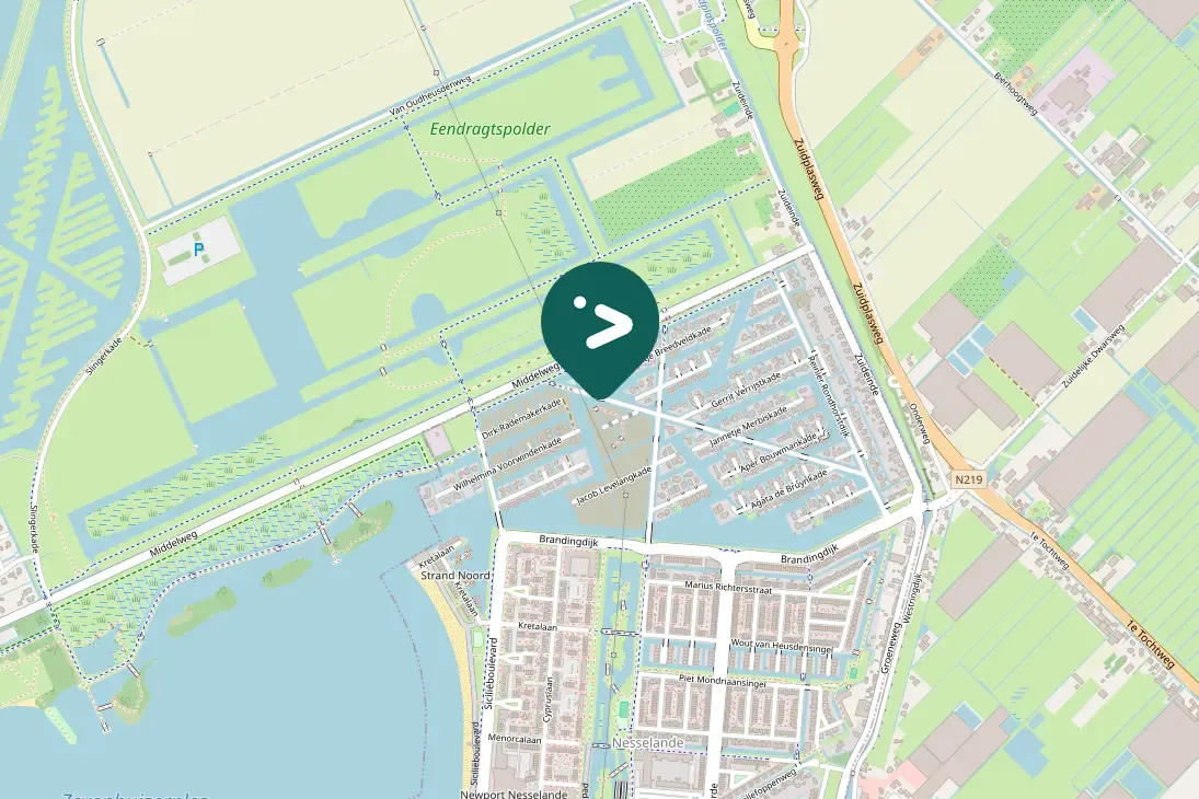 Gespotte Witte kwikstaart