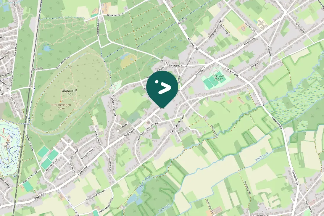 Gespotte Zwarte specht