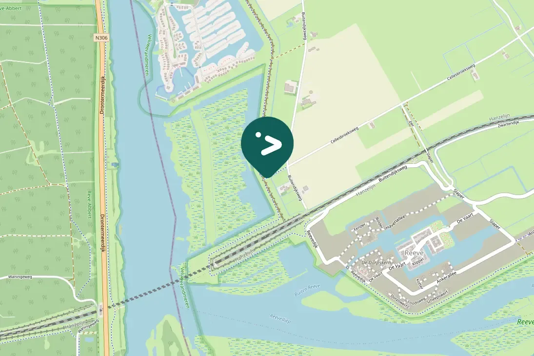 Spotted Northern Lapwing