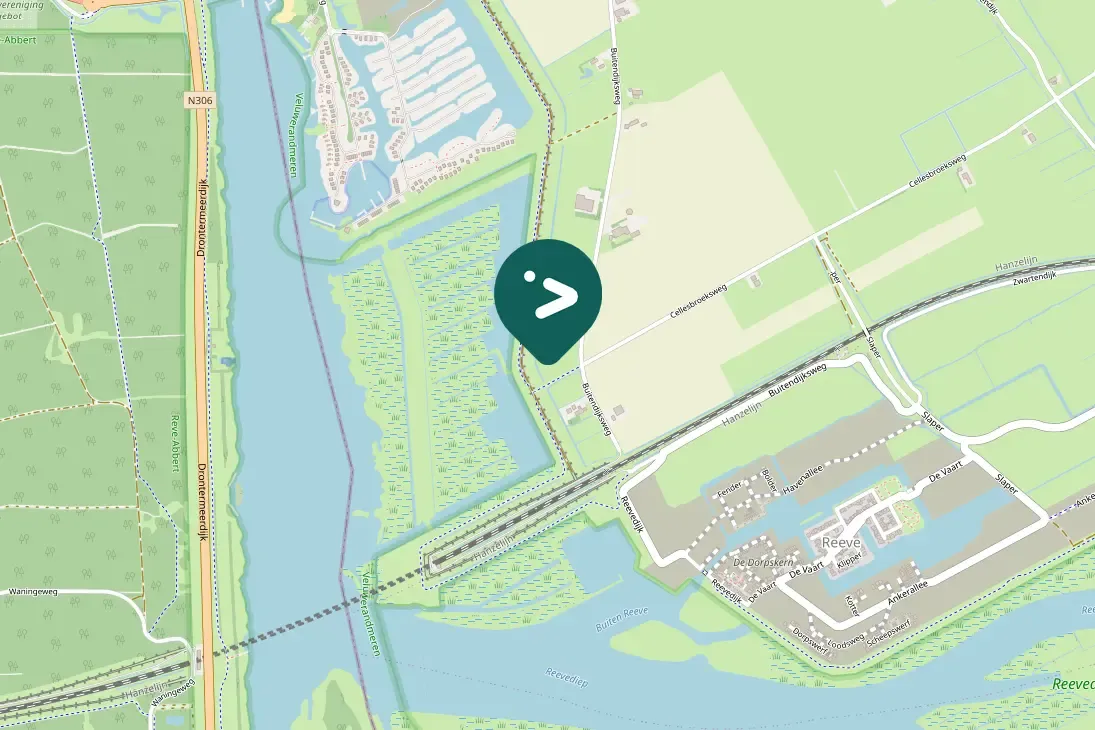 Spotted Common Buzzard