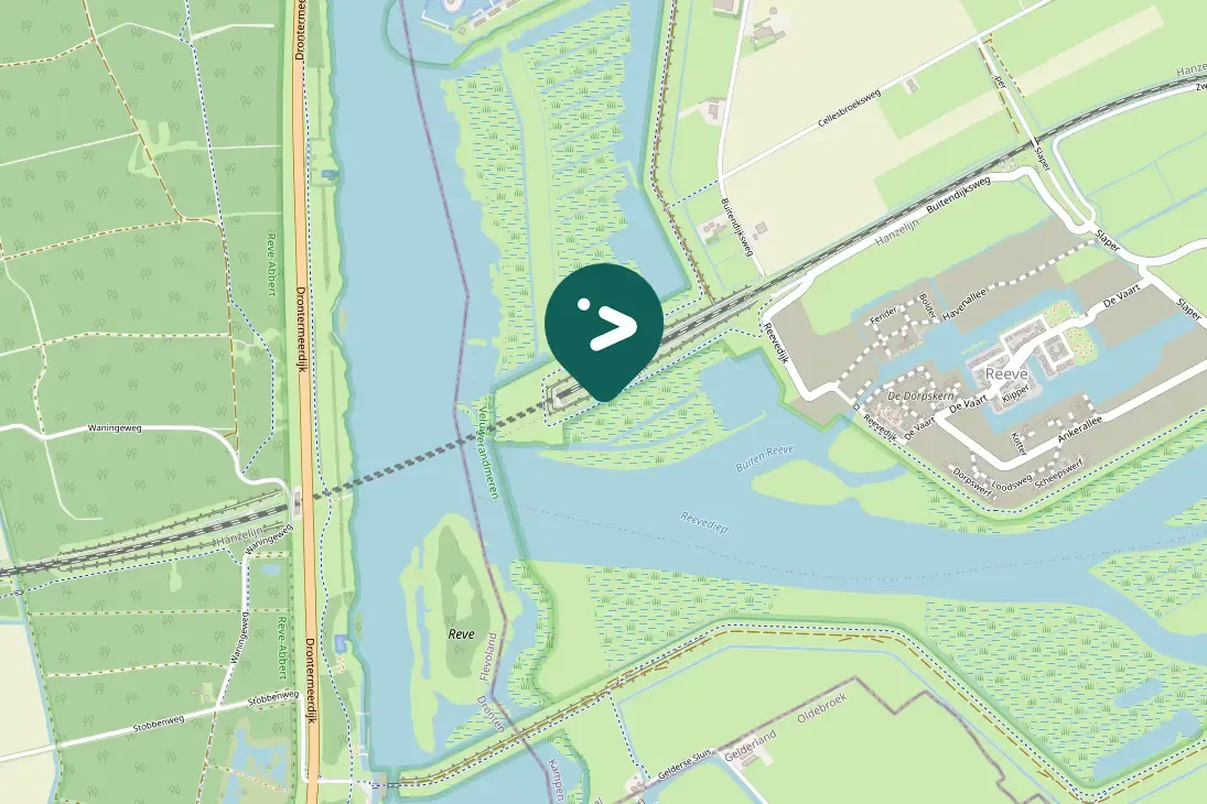 Spotted Black-tailed Godwit