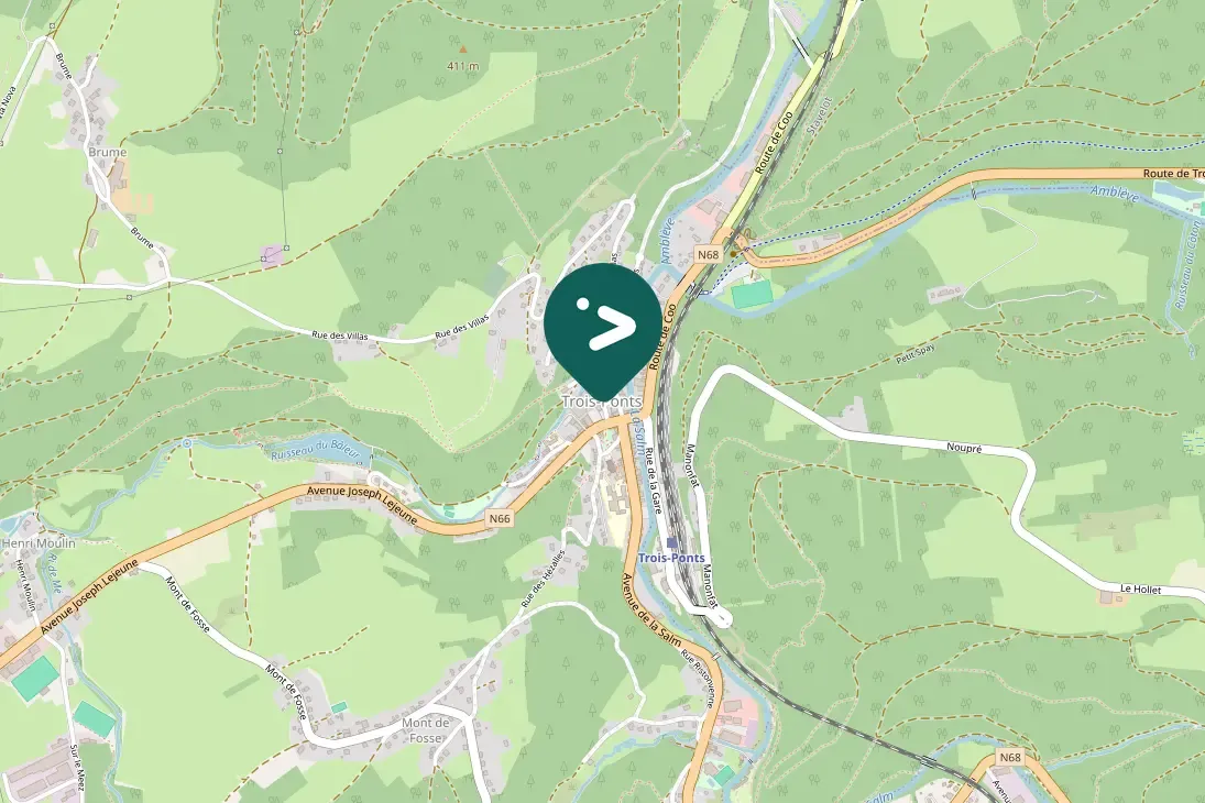 Gespotte Zwarte specht