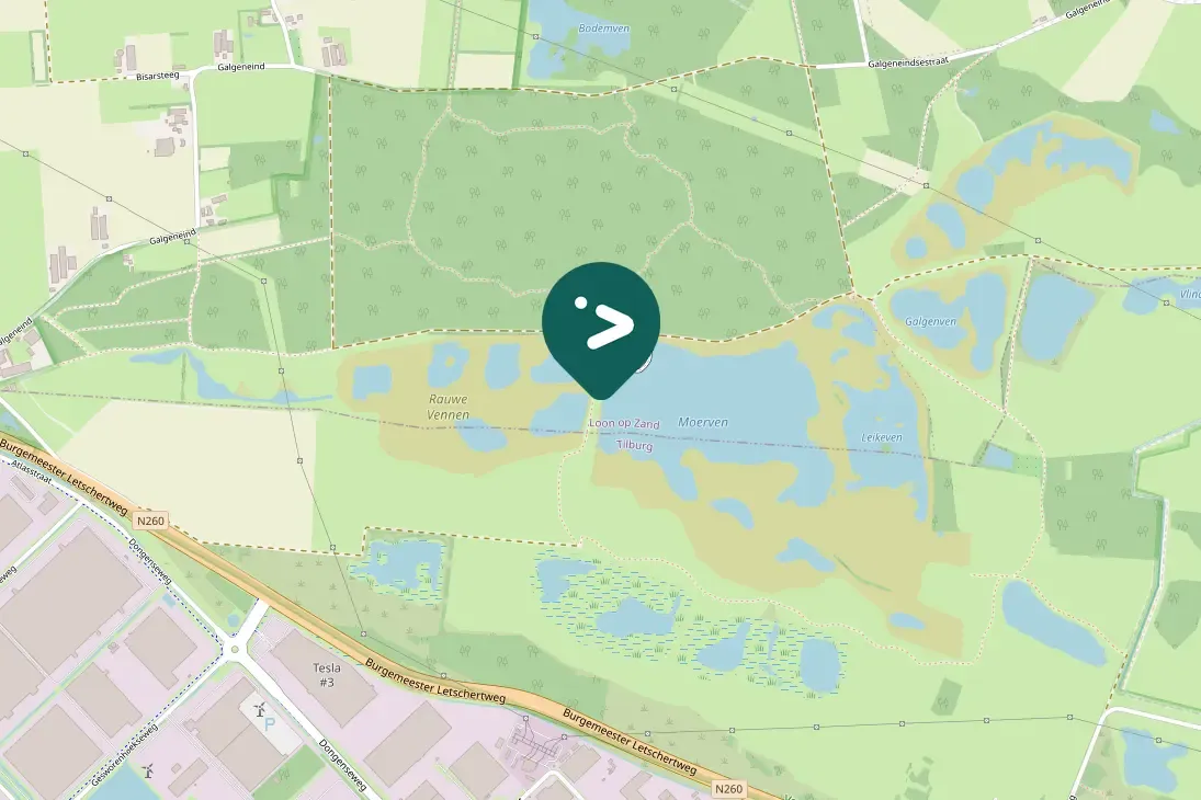 Gespotte Zwarte ruiter