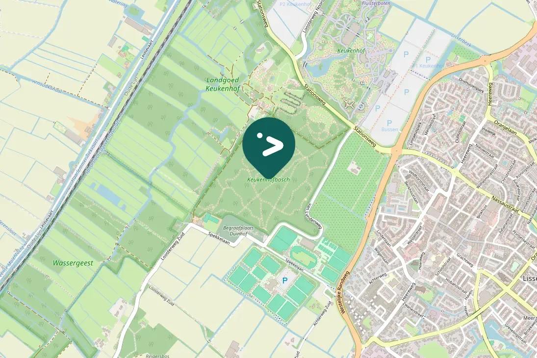 Spotted Madeira Firecrest