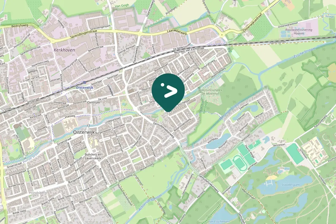 Gespotte Witte kwikstaart