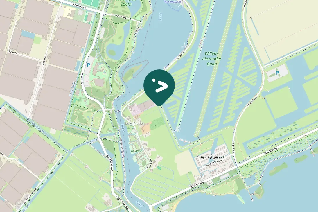 Gespotte Zwartkopmeeuw