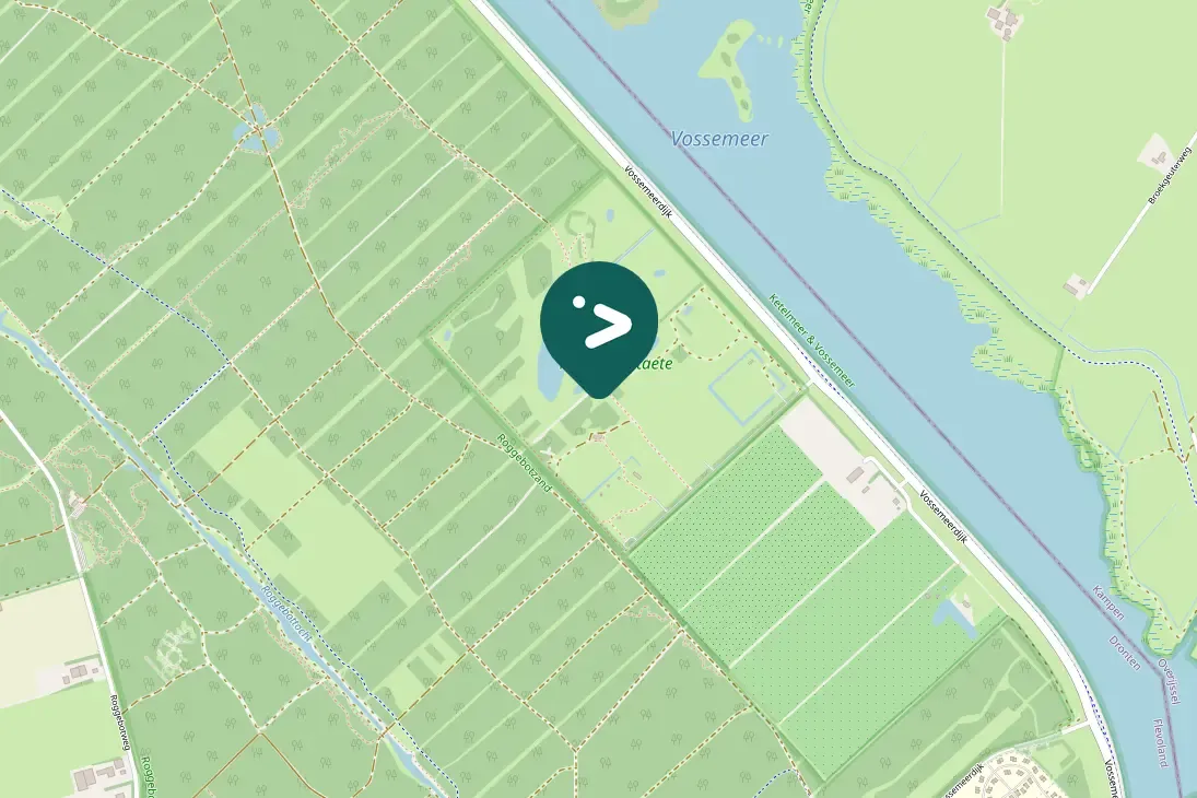 Spotted Northern Shoveler