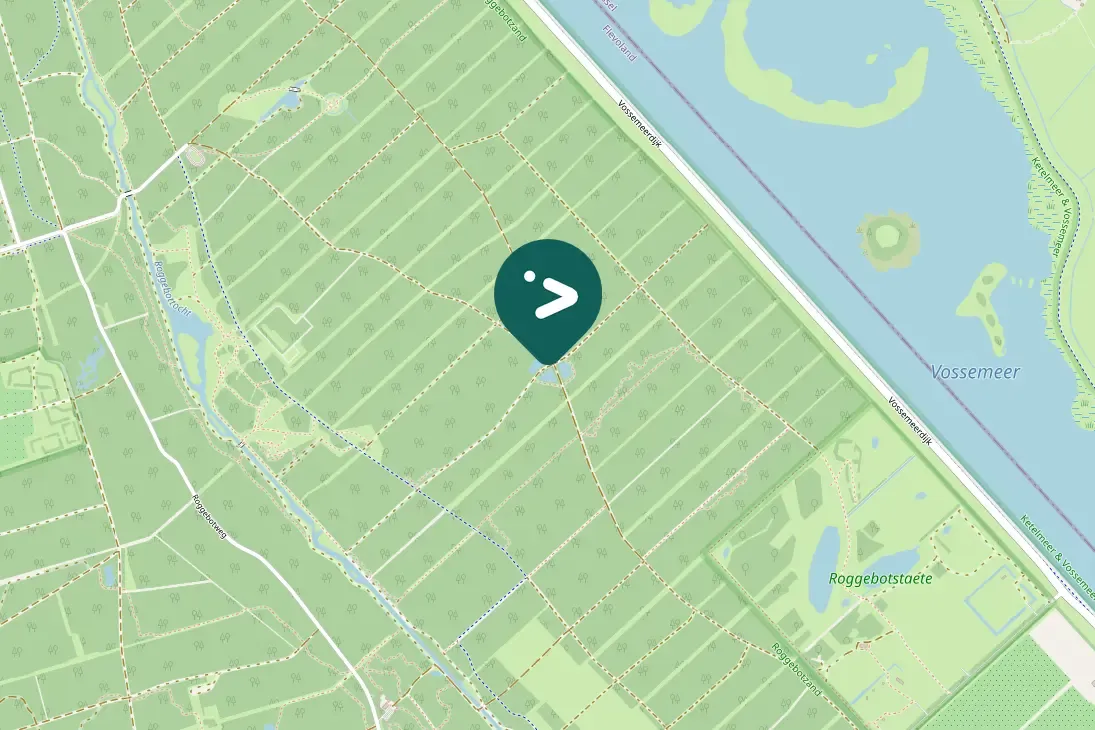 Spotted Great Spotted Woodpecker