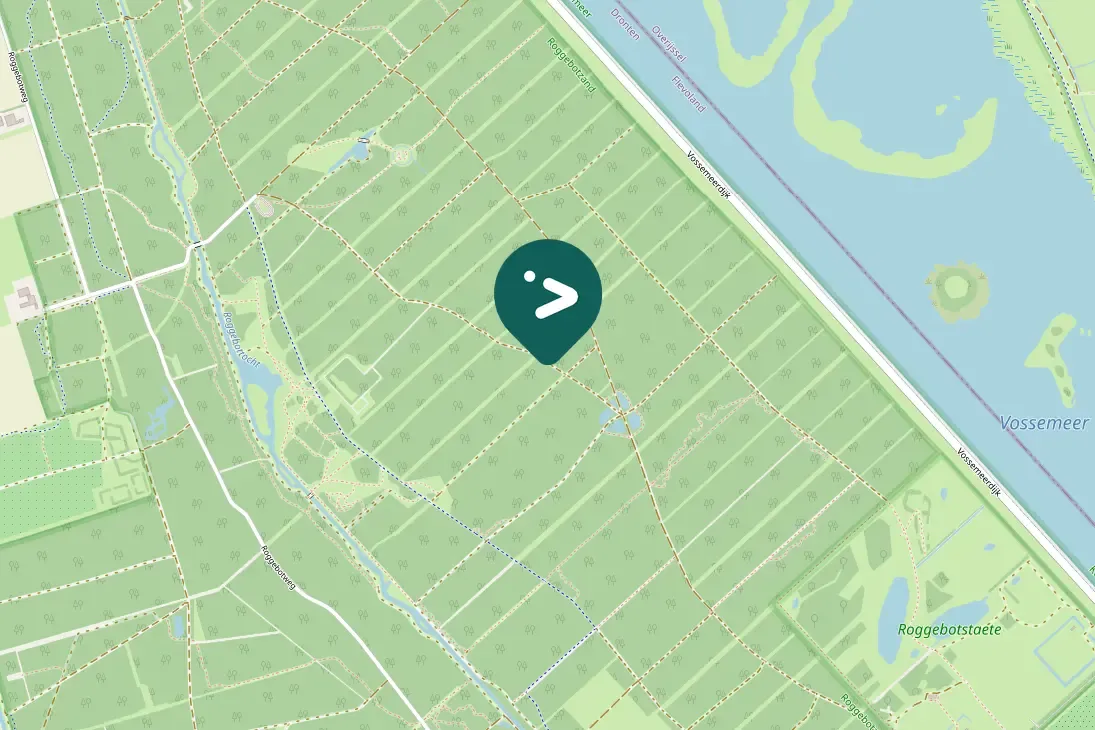 Spotted Willow Warbler