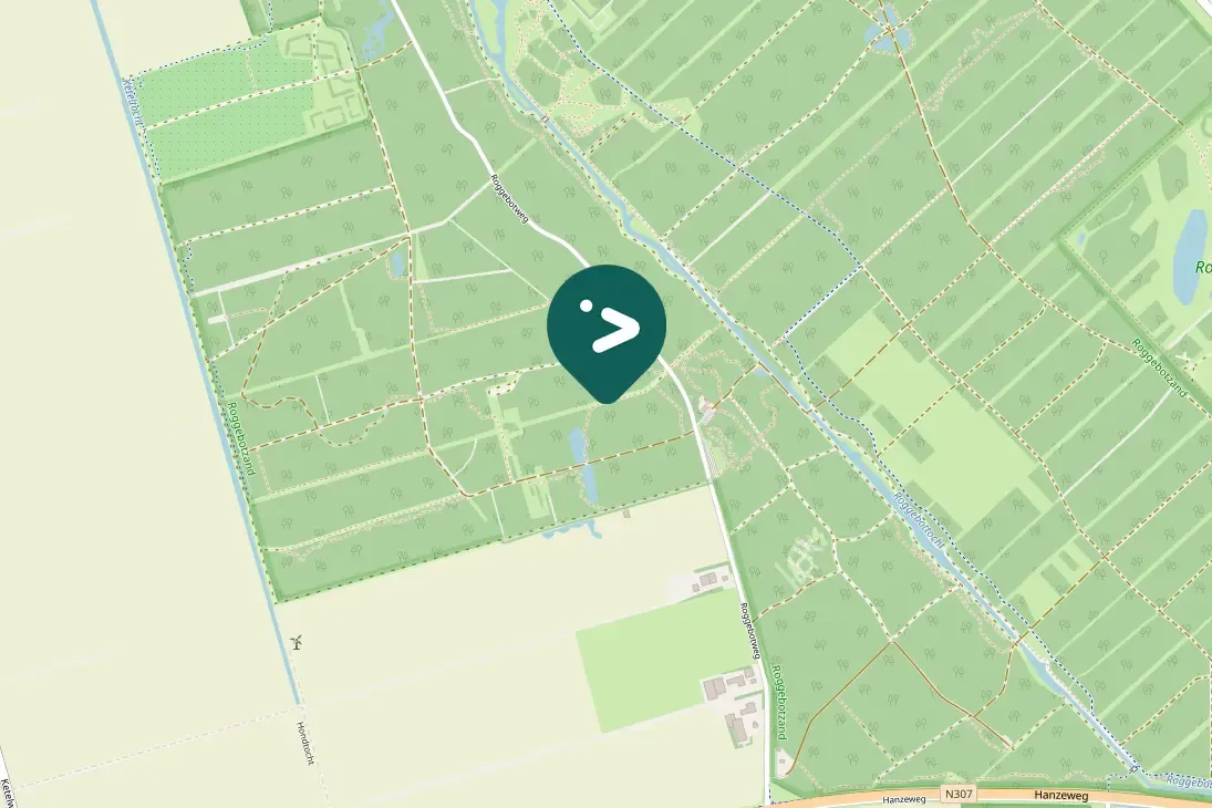 Spotted European Goldfinch