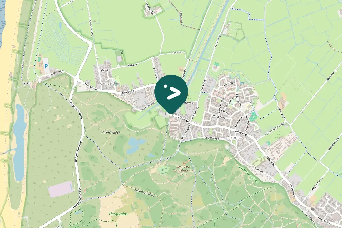 Gespotte Zilverplevier