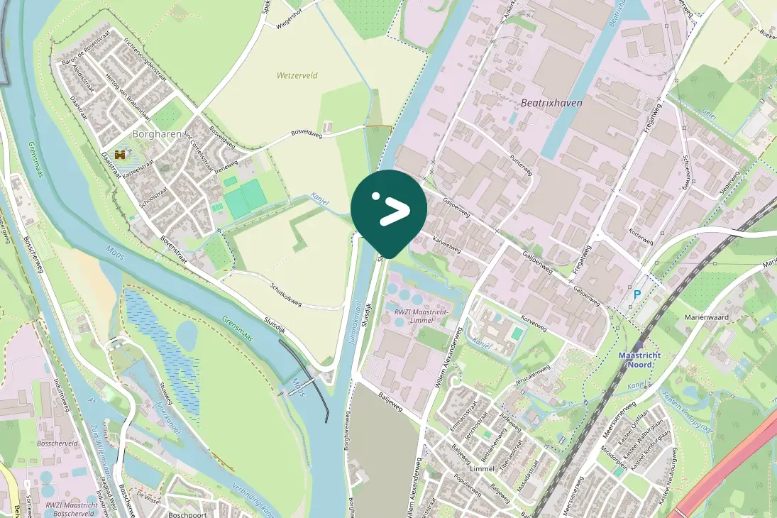 Spotted Common Chiffchaff