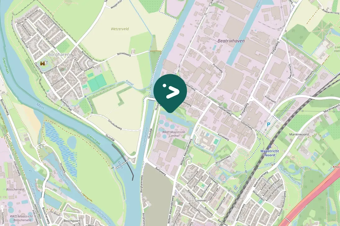 Spotted Eurasian Coot