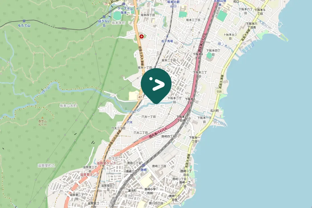 Gespotte Bruine lijster