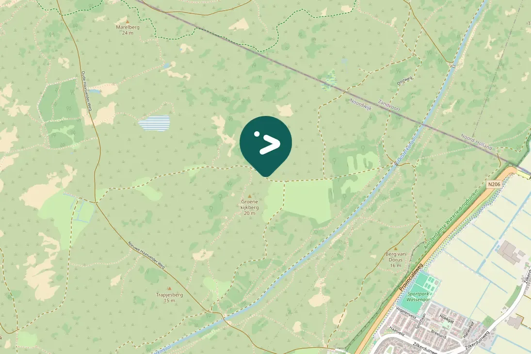 Spotted Willow Warbler