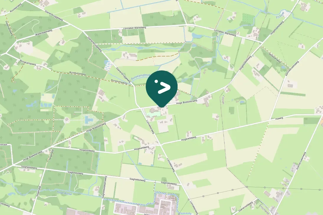 Gespotte Zwarte specht