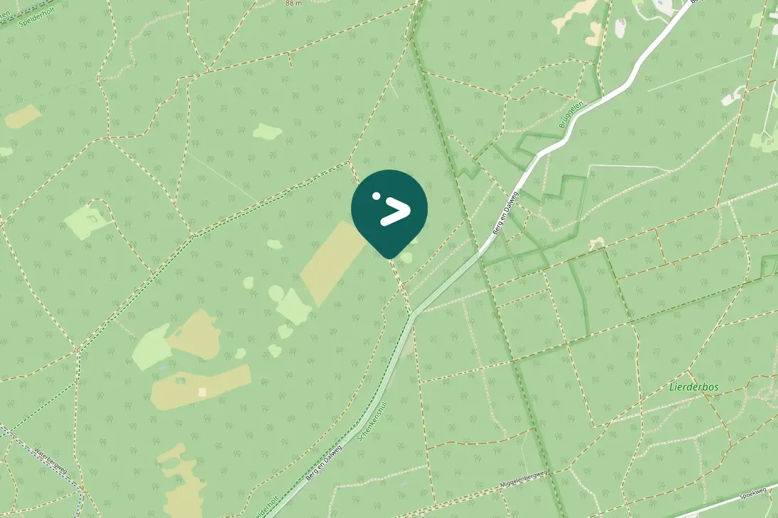 Gespotte Zwarte mees