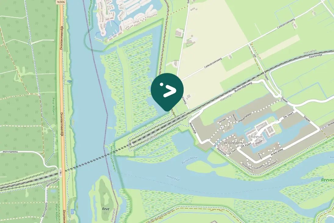 Spotted Northern Shoveler