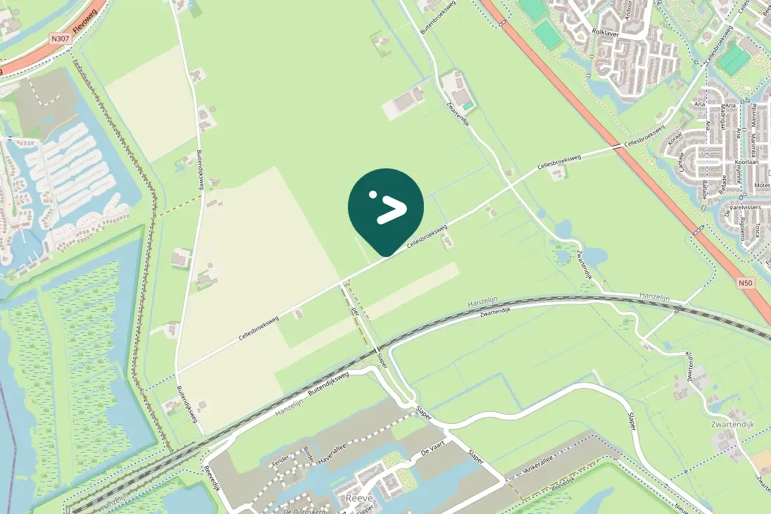 Spotted Northern Lapwing