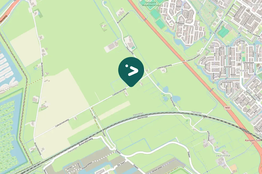 Spotted Barn Swallow