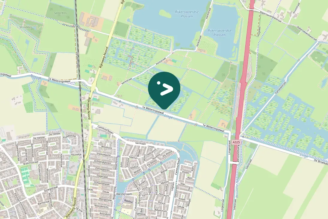 Gespotte Kleine plevier