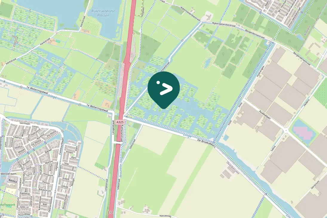 Gespotte Grote zilverreiger