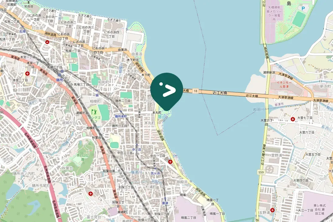 Gespotte Chinese groenling