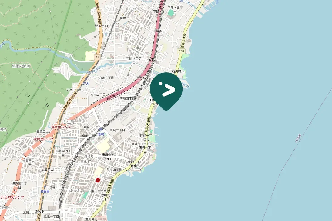 Gespotte Grote zilverreiger