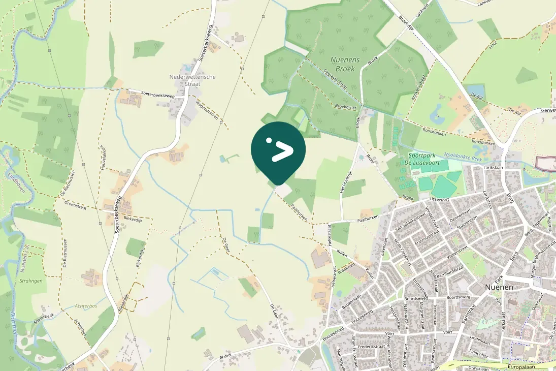 Gespotte Kleine bonte specht