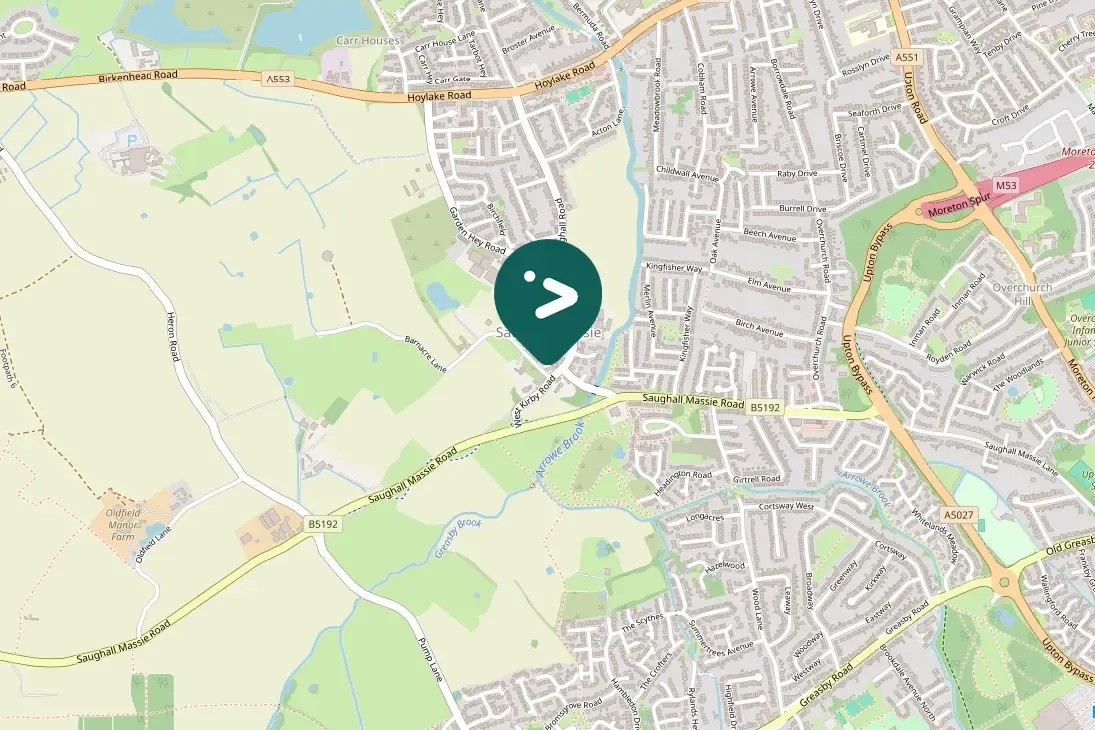 Gespotte Zwarte mees