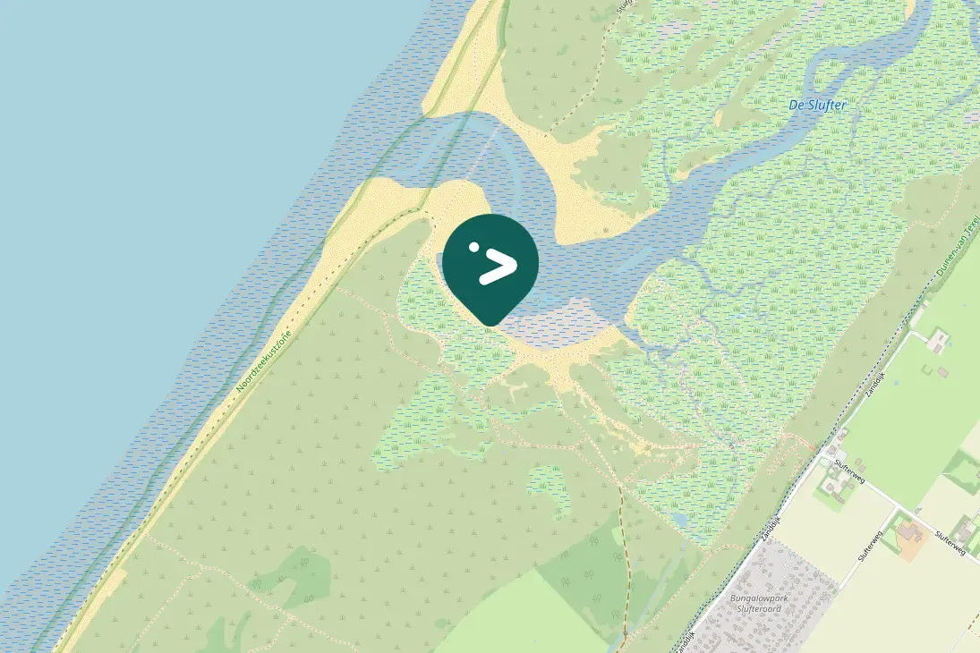 Gespotte Bontbekplevier