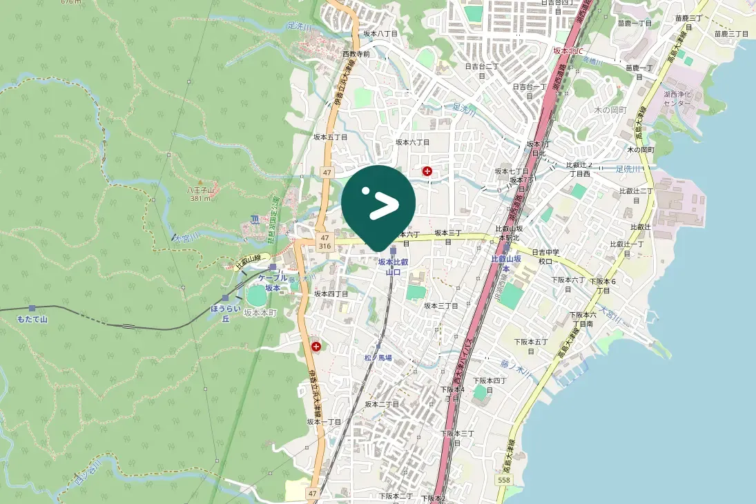 Gespotte Japanse groene specht