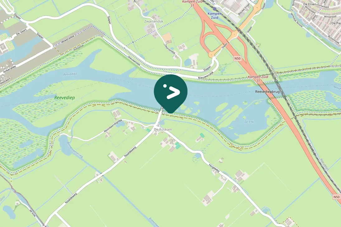 Gespotte Kleine mantelmeeuw