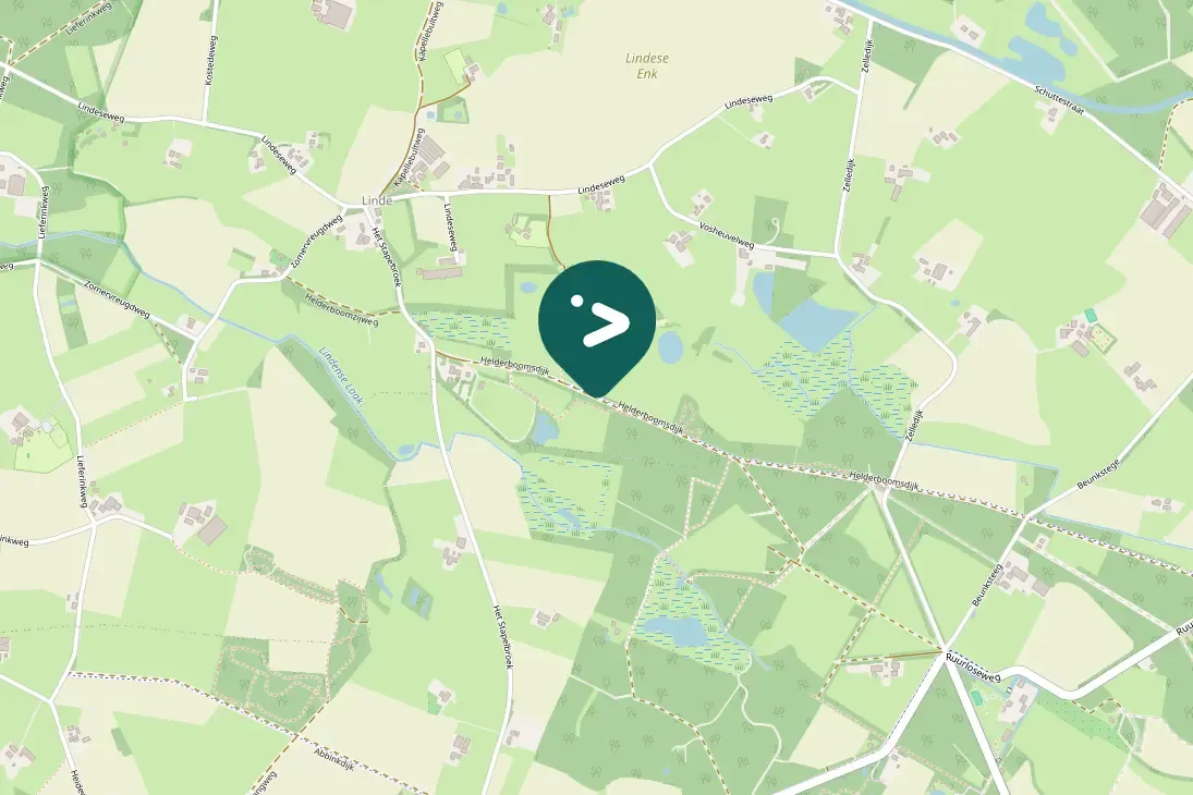 Spotted Ring-necked Pheasant