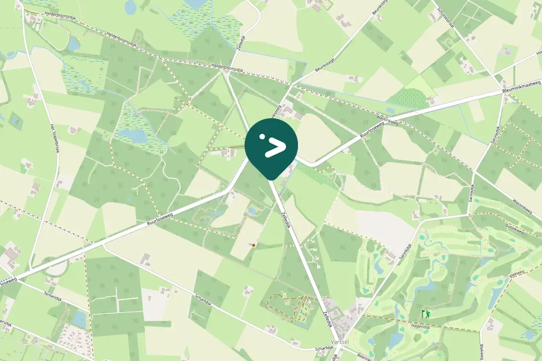 Spotted Middle Spotted Woodpecker