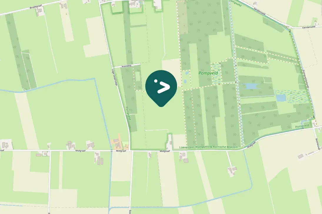 Gespotte Gele kwikstaart